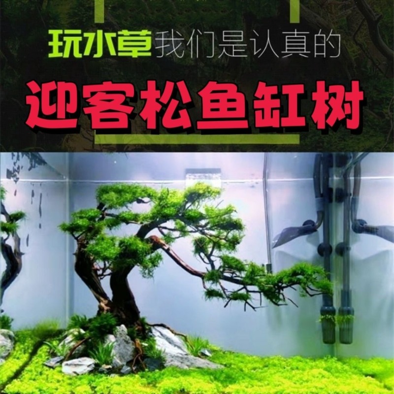 Resin Art And Wood - 전문가용 친환경 나무 유목 아트 플라워
